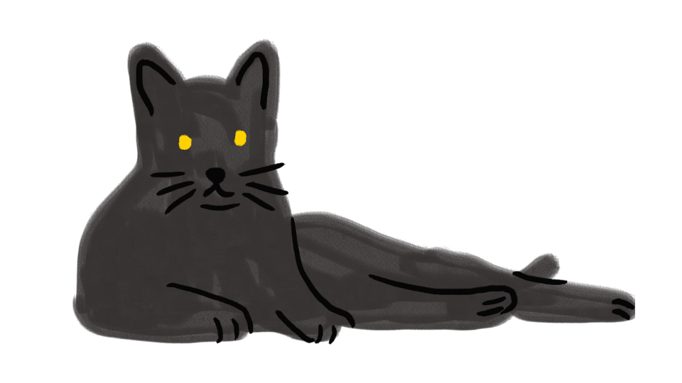 猫が歩く